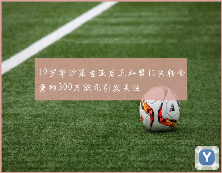 19岁华沙莱吉亚后卫加盟门兴转会费约300万欧元引发关注